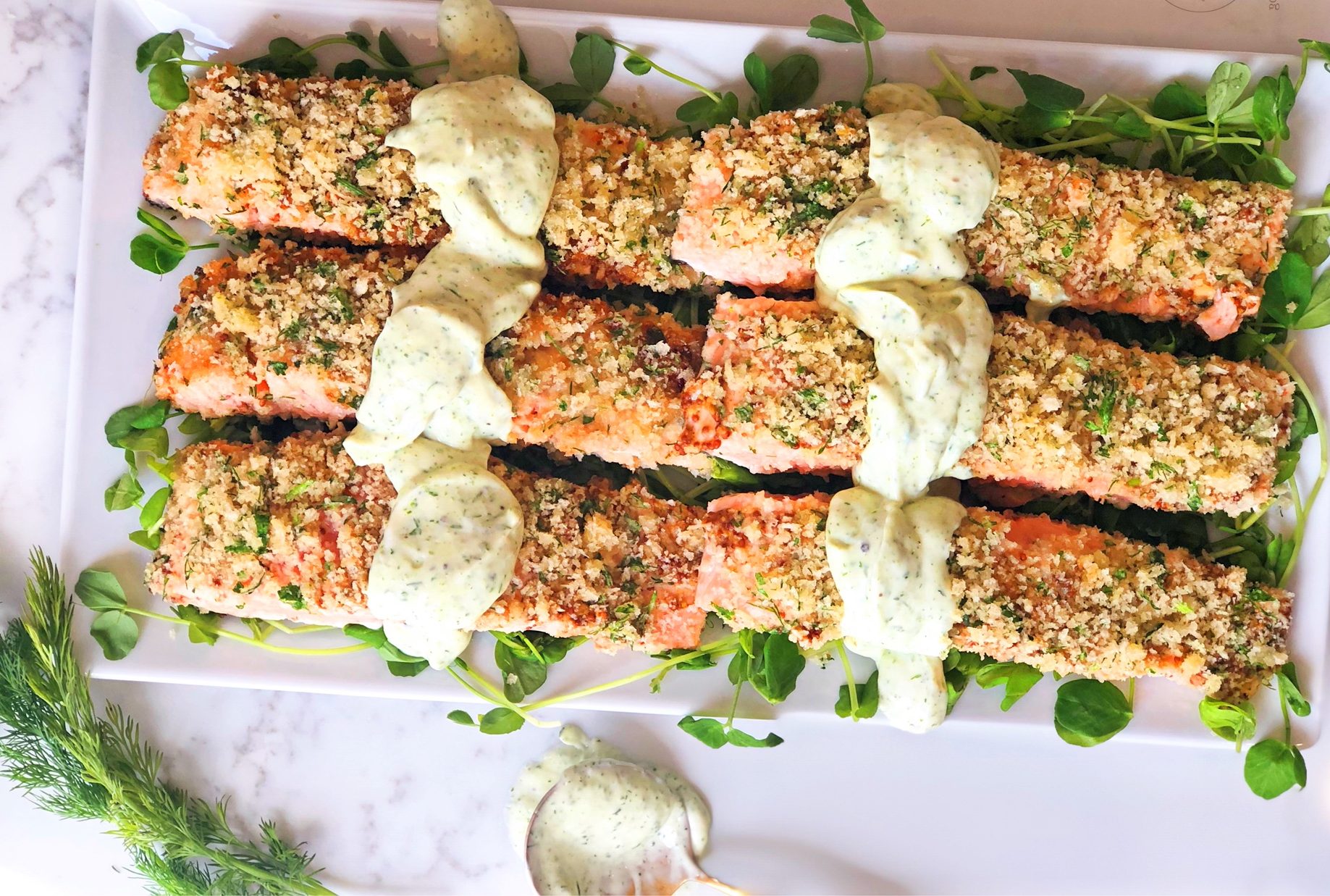 Parmesan Herb Crusted Salmon With Creamy Dill Sauce Fetty S Food Blog
